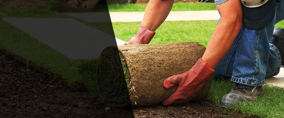 Eagle Creek Landscapers